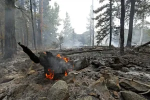 Utah Membara, Kebakaran Hutan Utah Mendekat ke Kawasan Pemukiman