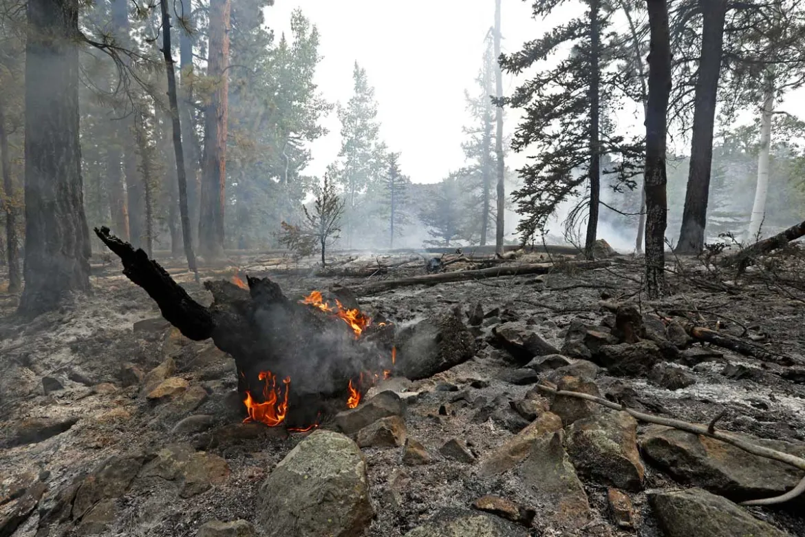 Utah Membara, Kebakaran Hutan Utah Mendekat ke Kawasan Pe...