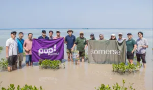Ascott Indonesia Tanam 2.000 Mangrove di Pulau Tidung Kecil, Perkuat Komitmen Keberlanjutan