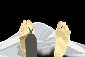 Begini Kronologinya, Satu Warga Meninggal Saat Karhutla Melanda Ketapang