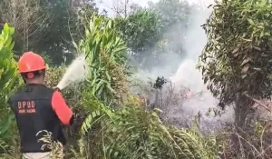 BPBD Kalbar hadapi kendala tangani karhutla dua kabupaten