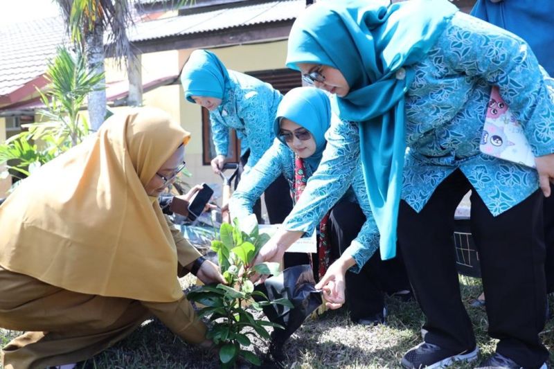 Gerakan Menanam Pohon di Sekolah Digencarkan TP PKK Babel...