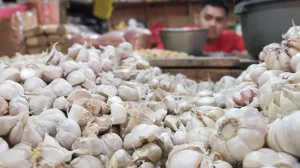 Harga Bawang Putih di 248 Daerah Naik, Bapanas Minta Pemda Bereskan Akurasi Pengawasan