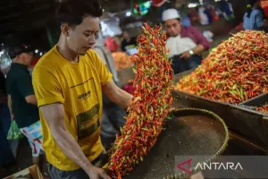 Harga Cabai Rawit Rp45.150/Kg, Telur Ayam Rp24.000/Kg