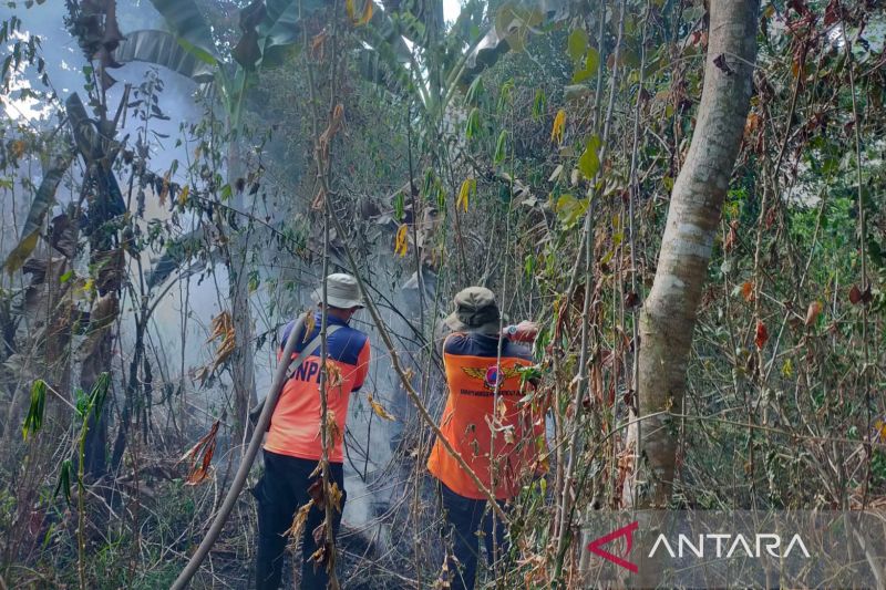 Karhutla Mengancam Permukiman, BPBD OKU Bergerak Cepat Pa...