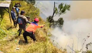 Kebakaran Bromo Meluas hing...