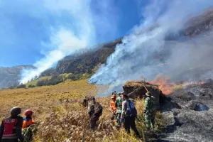 Kobaran Api Meluas, Karhutla di Gunung Bromo Belum Padam