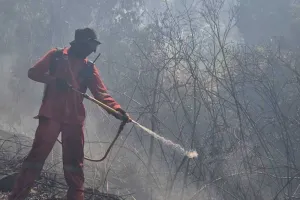 Penutupan Sementara Tahura ...