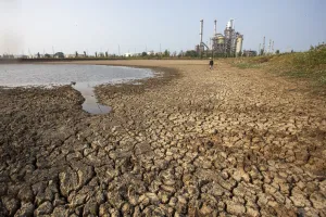 Perkuat Aksi Dini untuk Antisipasi Dampak EL Nino