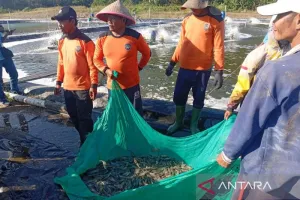 Dinas Perikanan: Kemarau Ganggu Budi Daya Ikan dan Udang di Cilacap
