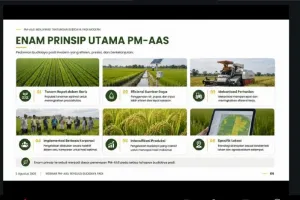 Kementan Genjot PM-AAS, Budi Daya Padi Modern Ditargetkan Tembus 1 Juta Hektare.