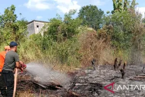 Lima Desa di Muara Enim Dilanda Karhutla