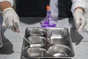 BRIN Kembangkan Alat Deteksi Pembusukan Makanan untuk Program MBG