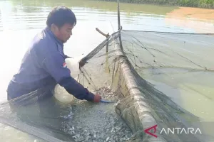 Kaltim dan Jateng Kerja Sam...