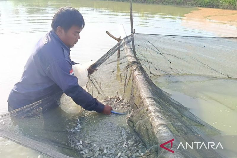 Kaltim dan Jateng Kerja Sama Perluas Jangkauan Pasar Digi...