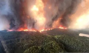 Kebakaran Hutan Kanada Makin Parah, Studi Ungkap Perubahan Iklim Jadi Biang Keladinya