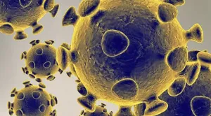 Keren! AI bisa Merancang Genom Virus, Penelitian Terbaru Ini Tunjukkan Kemampuannya