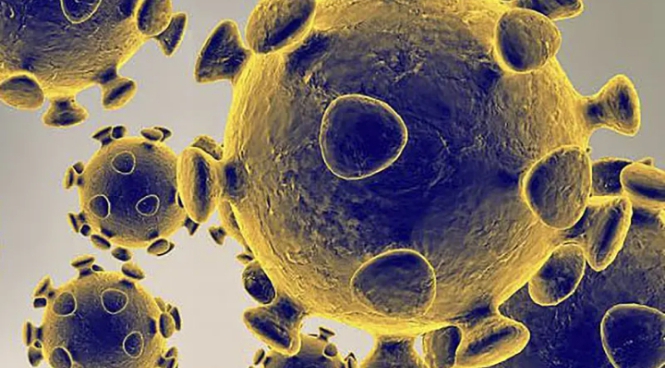 Keren! AI bisa Merancang Genom Virus, Penelitian Terbaru ...
