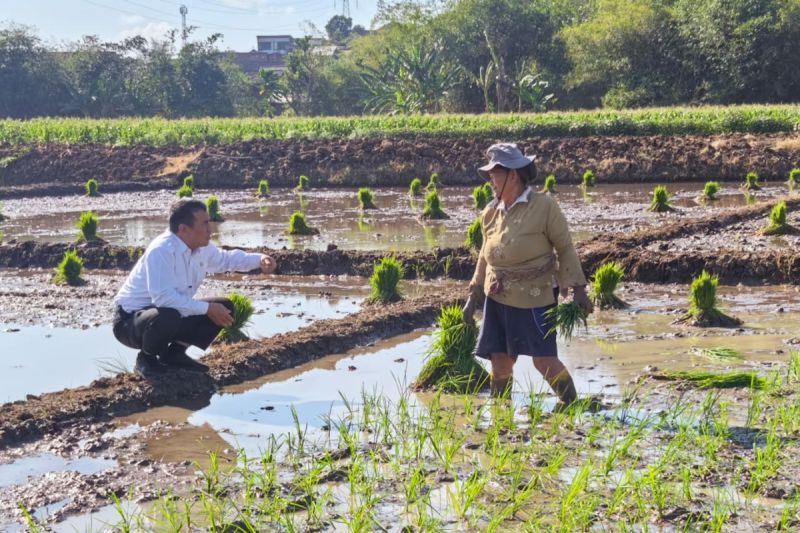 Mentan Andi Amran Sulaiman Serahkan Bantuan Traktor kepad...