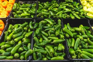 Petaka Cabai Jalapeno, Wabah Salmonella Merebak Luas di AS