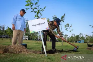 Sebanyak 67 Investor Swasta Sudah Berinvestasi Rp74,54 Triliun di IKN