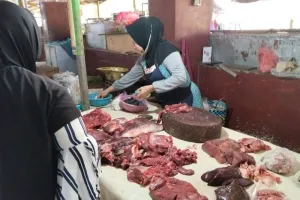 Distan Kota Mataram Pastikan Stok Daging Sapi Aman Jelang Maulid Nabi