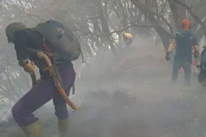 Gerak Cepat Atasi Karhutla, Kemenhut Tangani Kebakaran di Gunung Gede Pangrango, Tutup Pendakian