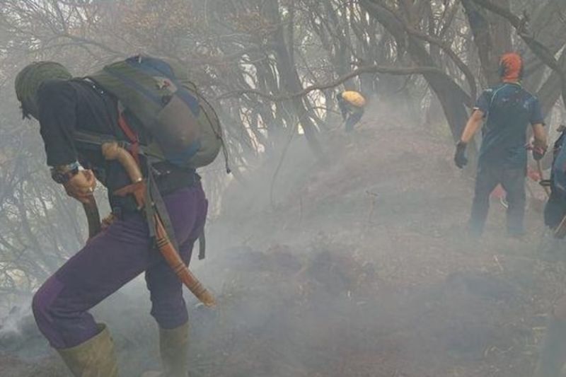 Gerak Cepat Atasi Karhutla, Kemenhut Tangani Kebakaran di...