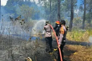 Karhutla di Lereng Gunung Soputan, Brimob-TNI Turun Tangan Padamkan Api,