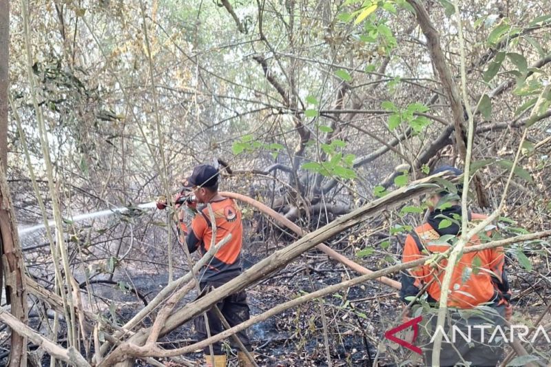 Karhutla Terjadi Bersamaan di Tiga Desa Muara Enim, BPBD ...