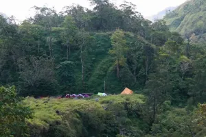 Kebakaran di Kaki Gunung Rinjani Berhasil Dipadamkan, TNGR Tetap Waspada 