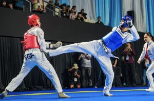 38 Atlet Indonesia Berhasil Meraih Medali dari Kejuaraan Taekwondo Asia
