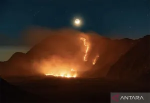 Akses Wisata Bromo Ditutup Total