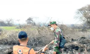 BPBD Muara Enim Padamkan Karhutla di Desa Pinang Banjar, 7 Desa Masih Berlangsung