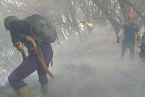Akibat Kebakaran di Gunung Gede Pangrango, Jalur Pendakian Ditutup