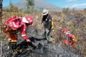 Kemenhut: TNGR Berhasil Kendalikan Karhutla di Sembalun Gunung Rinjani