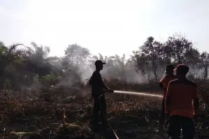 Laporan Terbaru, Pusdalops ...