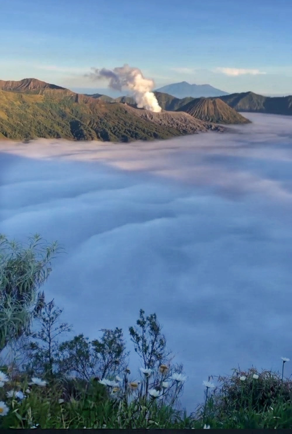 Makin Menjadi, Kebakaran Bromo Merambat ke 'Negeri di Atas Awan' B29