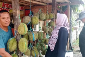 Musim Durian Tiba, Badui Mulai Meramaikan Lapak Buah Rangkasbitung