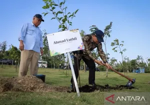 Otorita Sebut 67 Investor Sudah Berinvestasi di IKN Rp74,54 Triliun