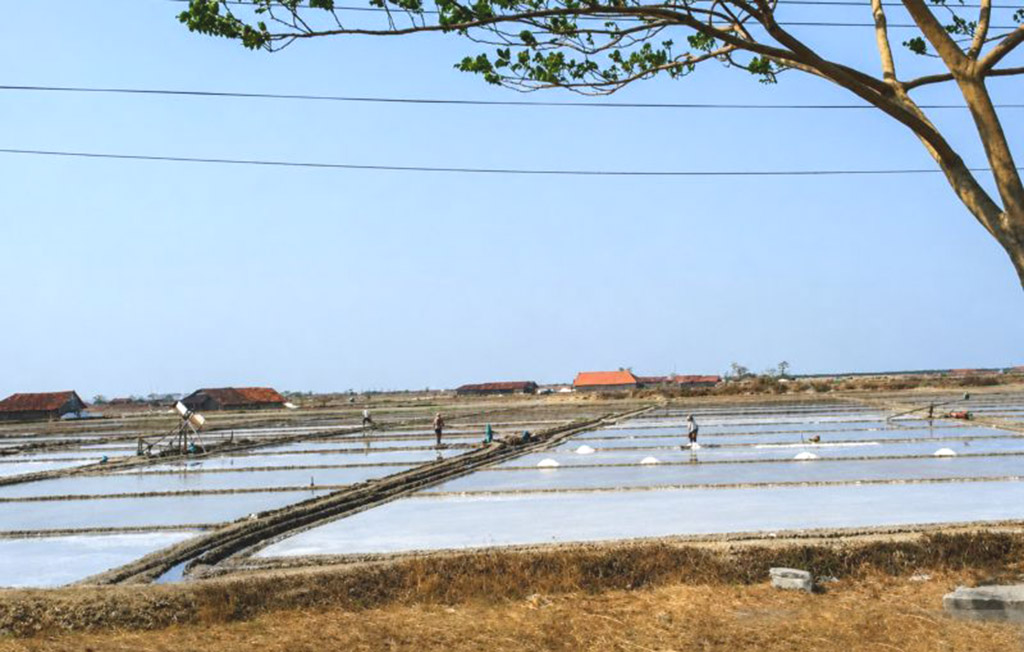 Pemkab Pati Bantu Penyerapan Garam Hasil Produksi Petani