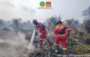 Riau Dikepung 198 Hotspot, Pemadaman Karhutla Masih Berlangsung