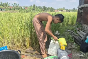 Saat Air Mengering Akibat K...