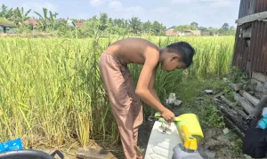 Sumur Bor Pertanian Jadi So...