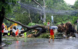 Badai Habagat di Filipina Tewaskan 8 Orang dan 486 Ribu Terdampak 