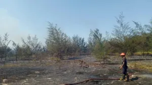 BMKG Deteksi 40 Titik Panas di Babel