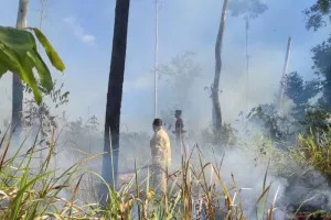 Cegah Karhutla, BPBD Aceh Besar Imbau Warga Tak Buka Lahan dengan Membakar.