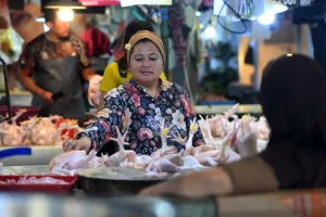 Harga Ayam Ras Alami Kenaikan di 188 Daerah. Kepala BPS: Perlu Diwaspadai!