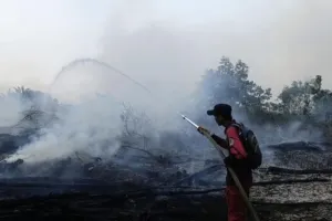Pemetaan Titik Rawan Karhutla Hutan Lindung Liang Anggang Kalsel