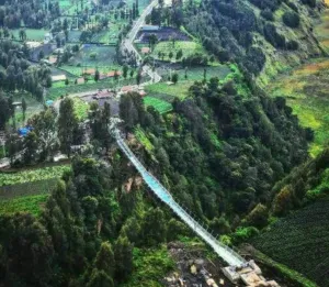 Wisata Sekitar Bromo Masih Aman, Jembatan Kaca hingga Seruni Point Tetap Bisa Dikunjungi